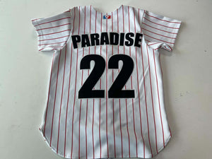 Dream feather baseball jersey